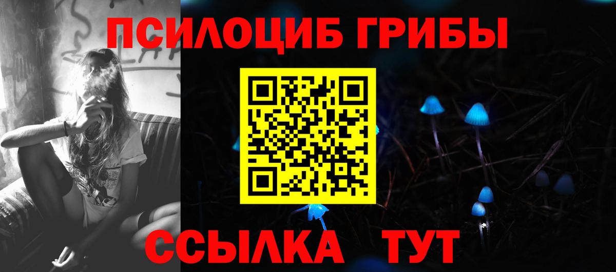 Советская Гавань  Галлюциногенные грибы Psilocybine cubensis  Вход с VPN 
